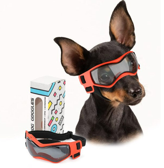 Dog Protective Sunglasses (Small - Medium Breeds)