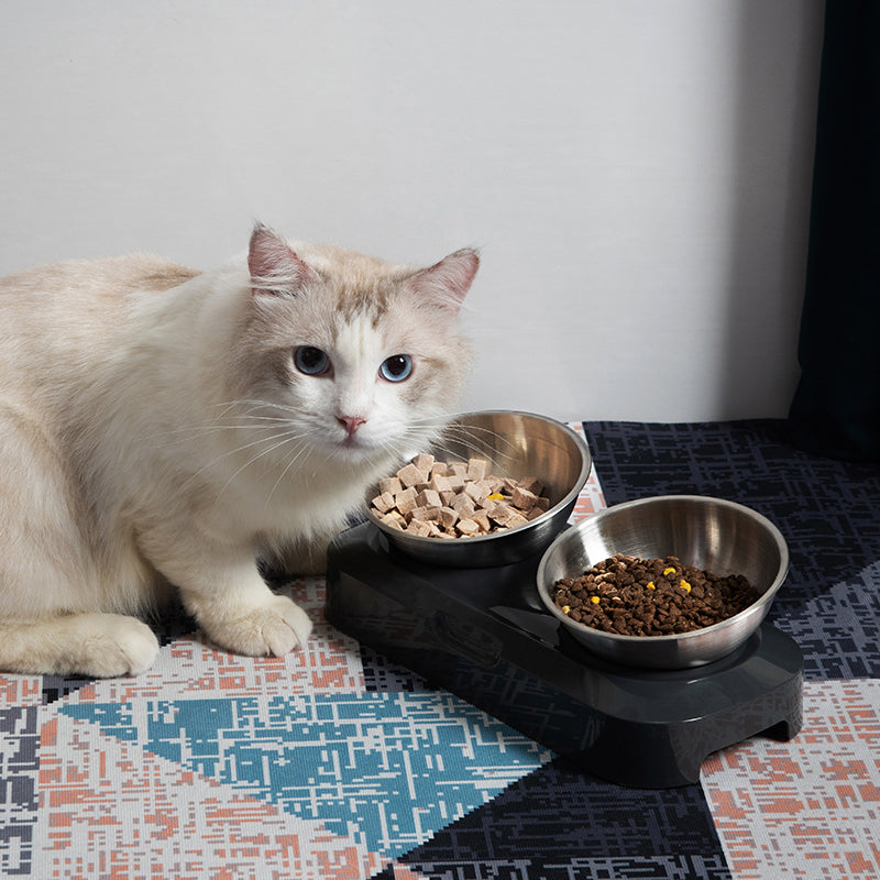 Stainless Steel Double Pet Feeding Bowl