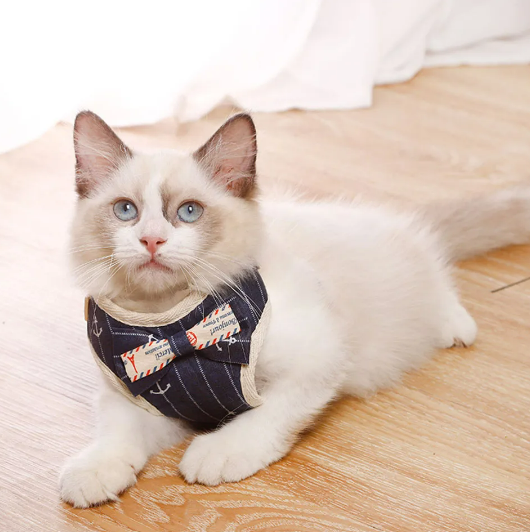 Cute Kitty Cat Harness Set