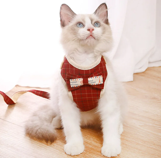 Cute Kitty Cat Harness Set