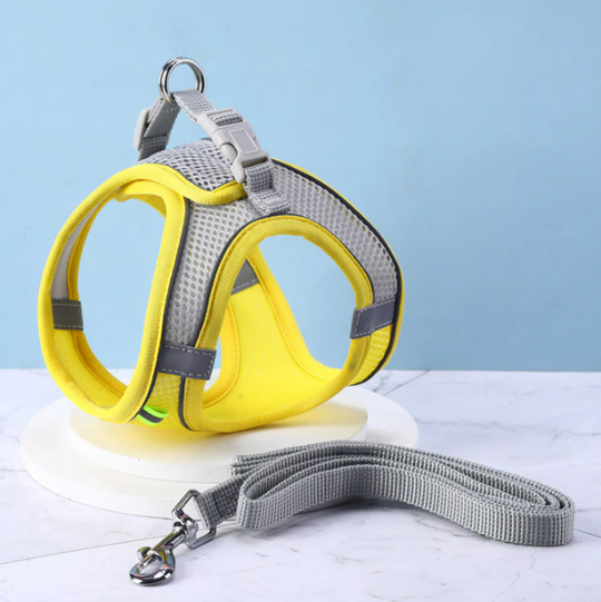 Reflective Cat Harness & Lead Set