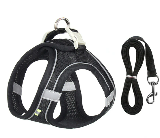 Reflective Cat Harness & Lead Set