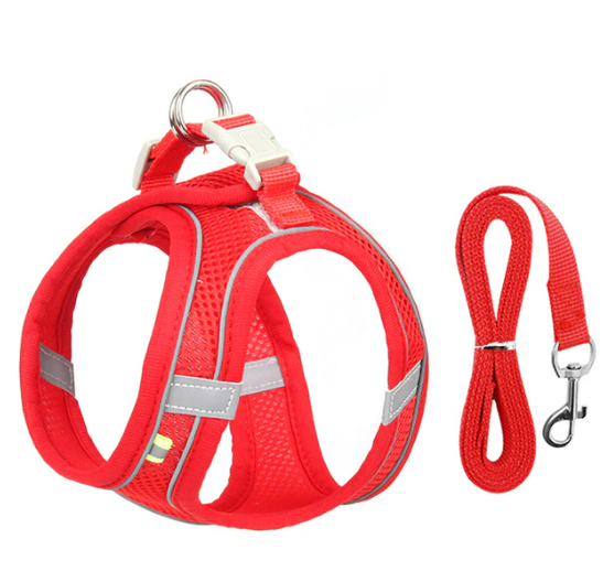 Reflective Cat Harness & Lead Set