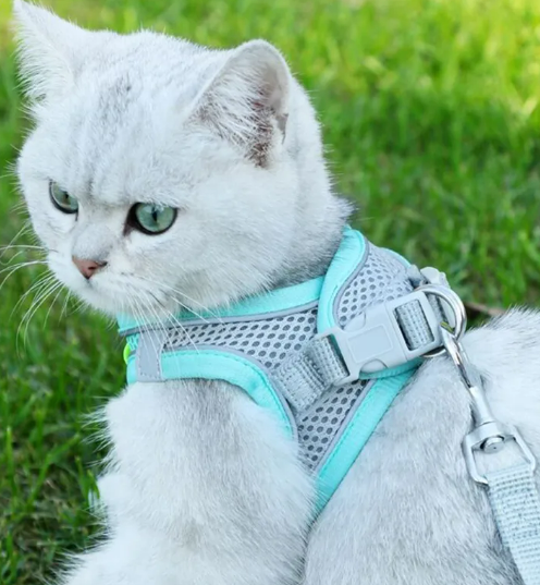 Reflective Cat Harness & Lead Set