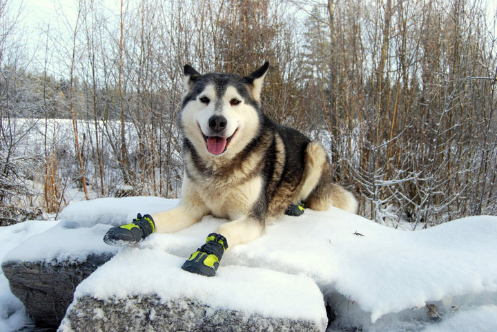 Weatherproof Dog Boots Size 3