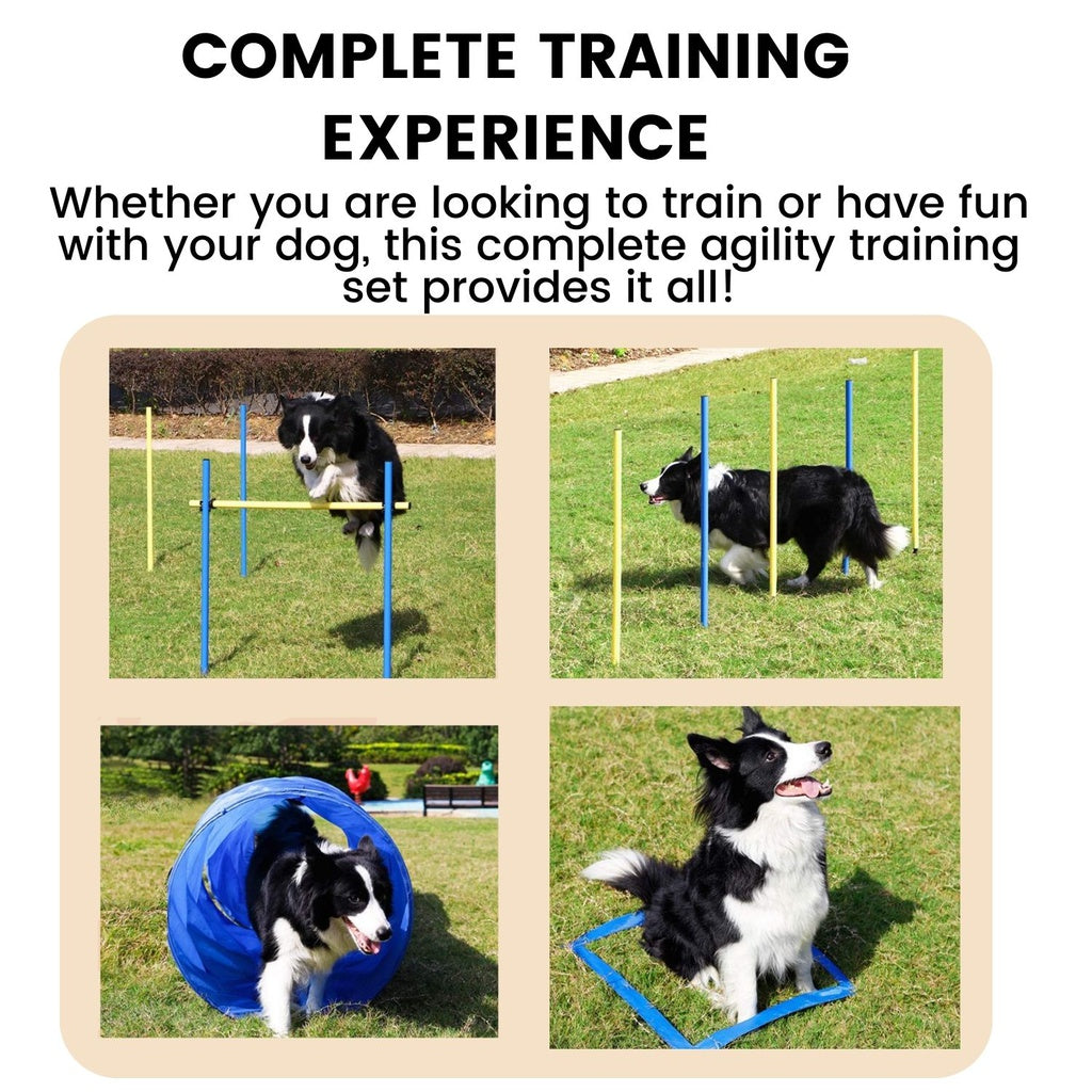 Dog Agility Equipment Set