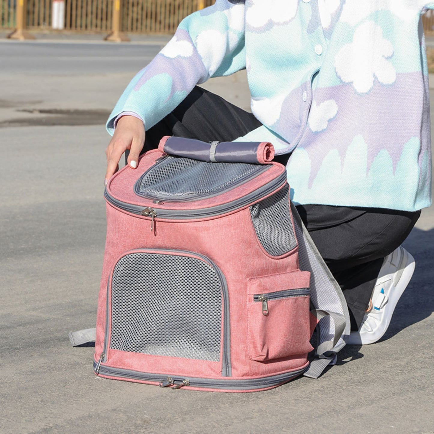 Pet Travel Backpack (Pink)