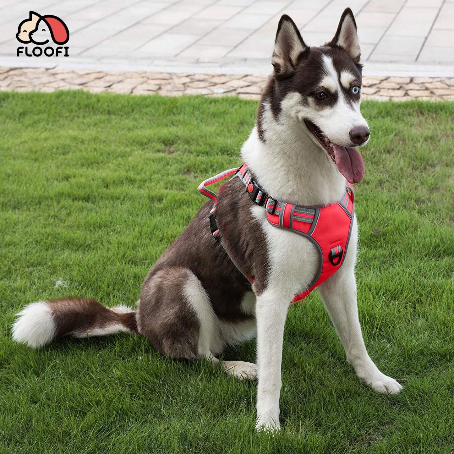 Adventure Dog Harness XXL (Red)