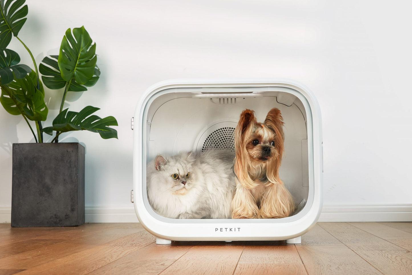 Deluxe Smart Pet Drying Cabin