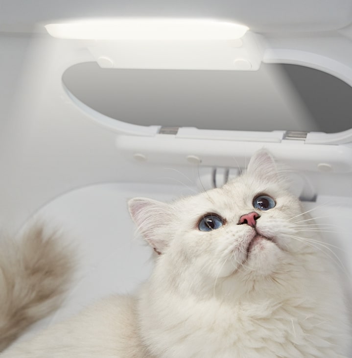 Deluxe Smart Pet Drying Cabin