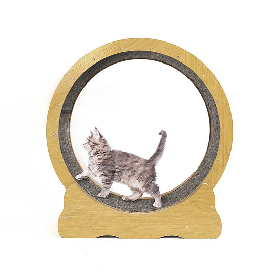 CAT TREADMILL WHEEL